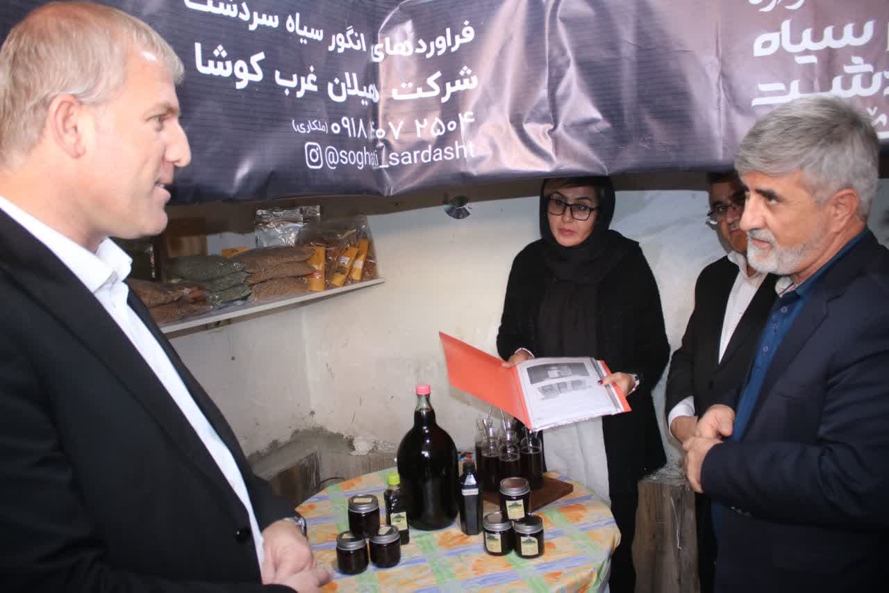بازدید فرماندار شهرستان سردشت از دو کارگاه تولیدی