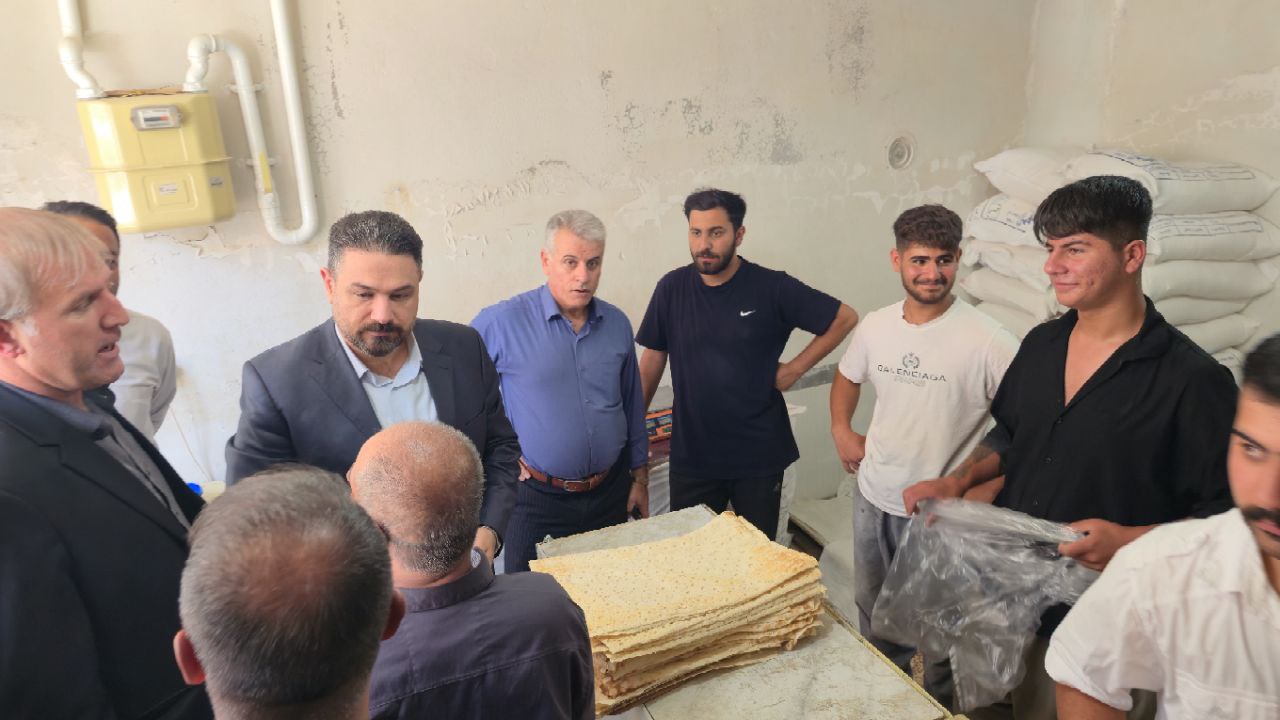فرماندار سردشت از نانوایی‌های شهر بازدید کرد