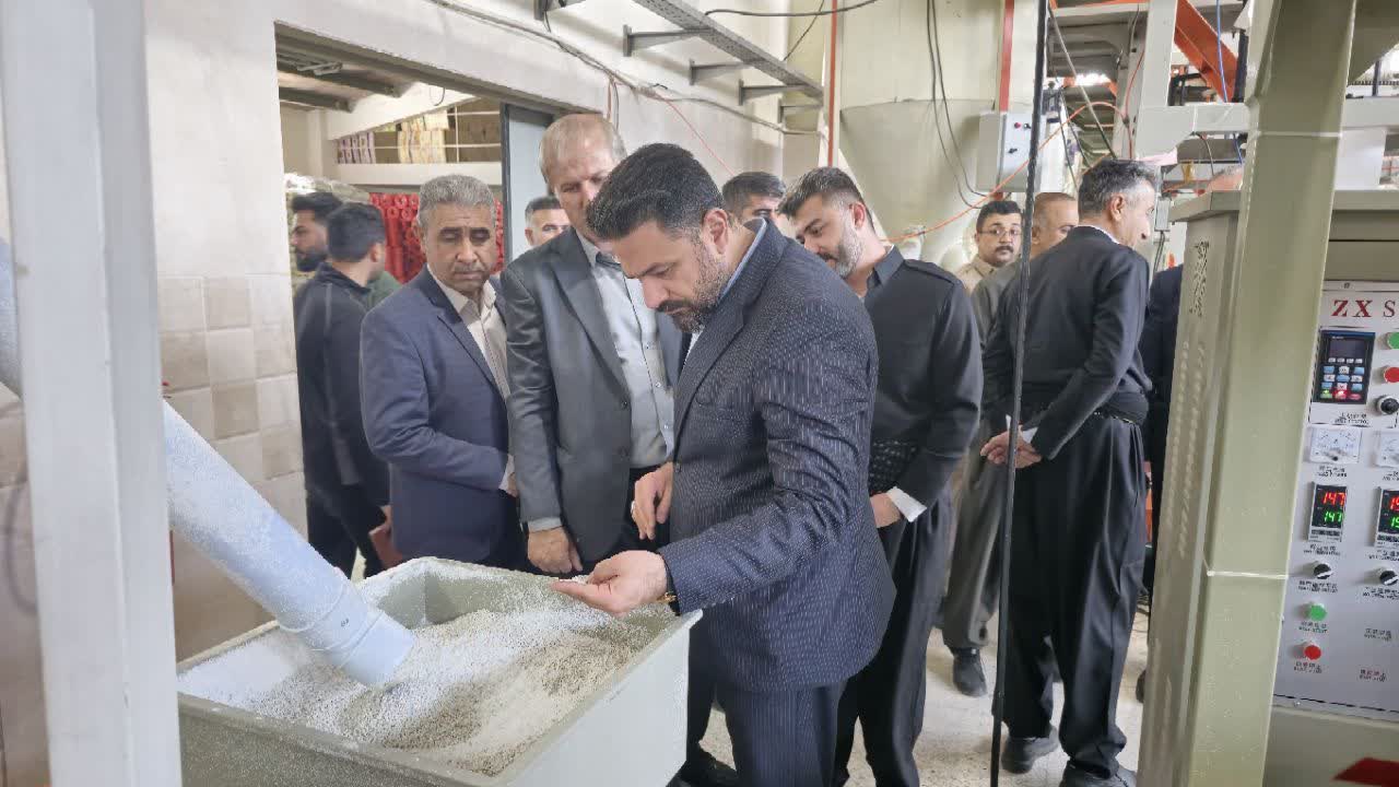 سرپرست فرمانداری شهرستان سردشت از کارخانه تولید سفره یکبار مصرف هاوین پلاستیک سردشت بازدید کرد.